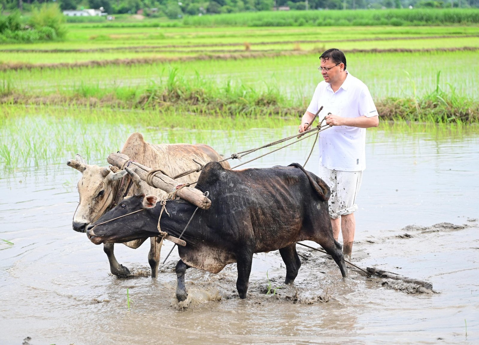 उत्तराखंड की धरती का लाल पुष्कर सिंह धामी!
