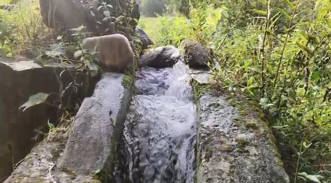 कुंजा में टूटी गुल और पाइपलाइन ने बढ़ाई किसानों की मुश्किलें, नलकूप विभाग की लापरवाही पर सवाल