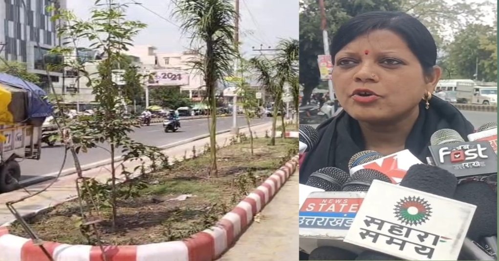 हल्द्वानी की सड़कों पर लगेेंगे 1000 पौधे, शहर होगा और हरा-भरा